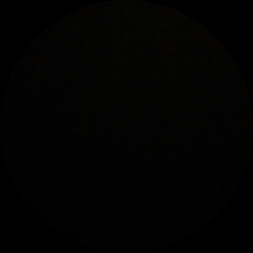 Meet your Posher, Nelly